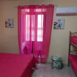 Al 25 Tulipani *